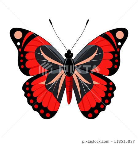 A red and black butterfly with a black head and red wings 118533857