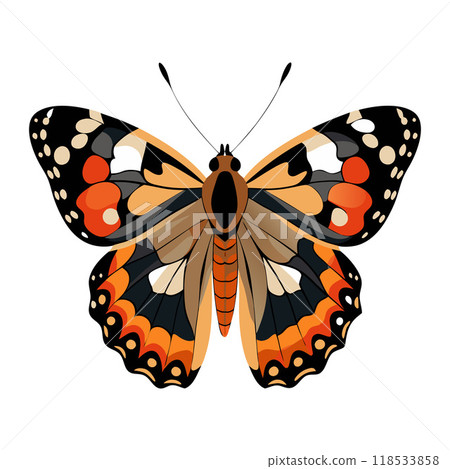 A butterfly with orange and black wings 118533858
