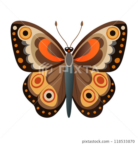 A colorful butterfly with black and orange wings 118533870