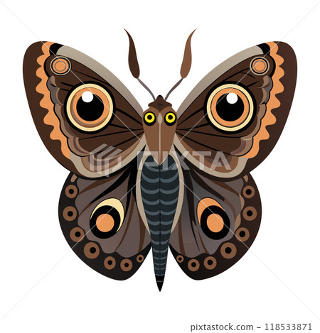 A butterfly with brown wings and black stripes 118533871