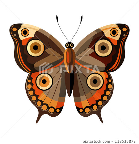 A butterfly with orange and brown wings 118533872