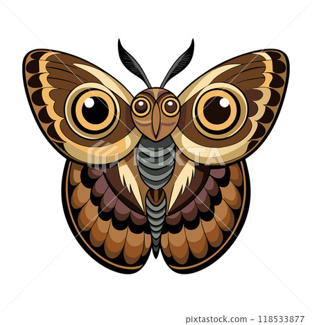 A cartoonish drawing of a brown and white butterfly with big eyes A cartoonish drawing of a brown and white butterfly with big eyes 118533877