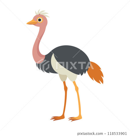 A cartoon ostrich stands on a white background A cartoon ostrich stands on a white background 118533901