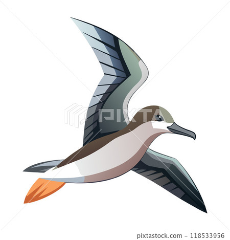 A bird is flying in the sky with its wings spread wide 118533956