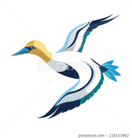 A bird with a blue wing and a white body is flying in the air A bird with a blue wing and a white body is flying in the air 118533962