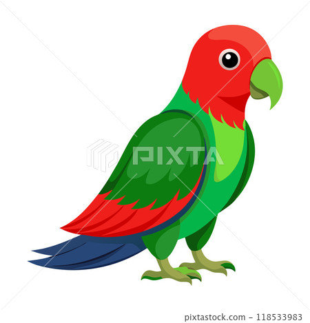A colorful parrot is standing on a white background A colorful parrot is standing on a white background 118533983