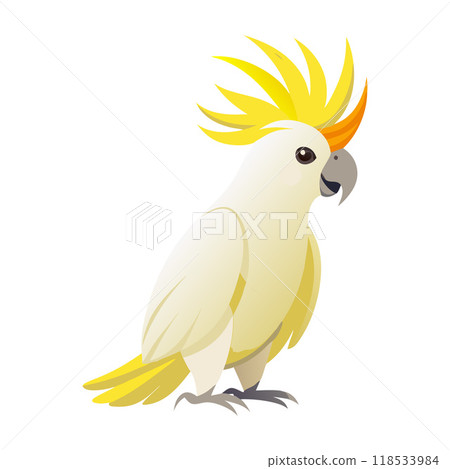 A yellow and white parrot with a yellow beak and a yellow head 118533984