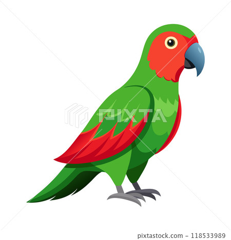 A green and red parrot is standing on a white background 118533989
