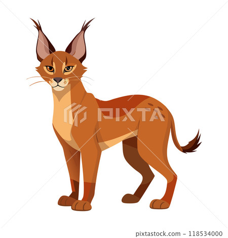 A cat with a long tail and orange fur stands in front of a white background 118534000