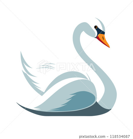 A white swan is sitting on a white background A white swan is sitting on a white background 118534087