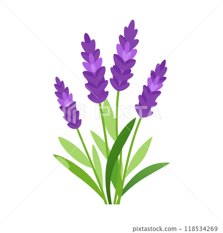A purple flower with green stems 118534269