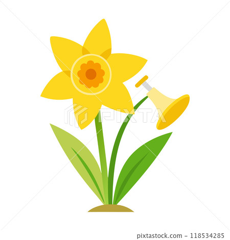 A yellow flower with a trumpet on top of it A yellow flower with a trumpet on top of it 118534285