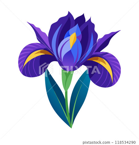 A purple flower with a yellow center 118534290