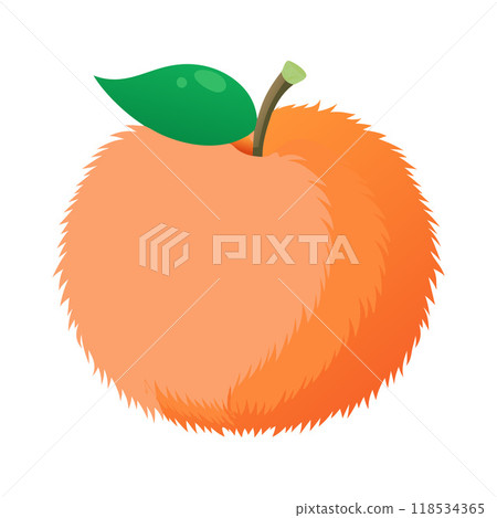 A fuzzy orange apple with a green leaf on top A fuzzy orange apple with a green leaf on top 118534365