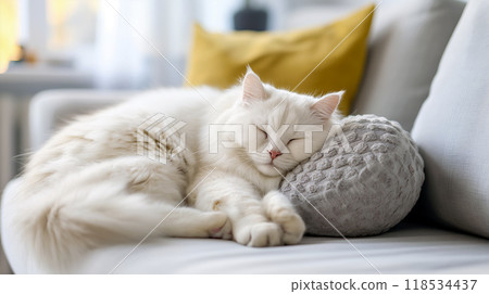 A fluffy white cat peacefully sleeping on a soft pillow in a cozy living room during the afternoon light A fluffy white cat peacefully sleeping on a soft pillow in a cozy living room during the afternoon light 118534437