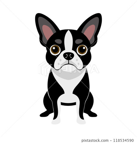 A black and white dog with a black nose and a black and white face A black and white dog with a black nose and a black and white face 118534590