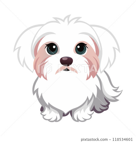 A cute white dog with blue eyes is sitting on a white background 118534601