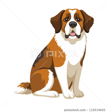 A brown and white dog is sitting on a white background 118534605
