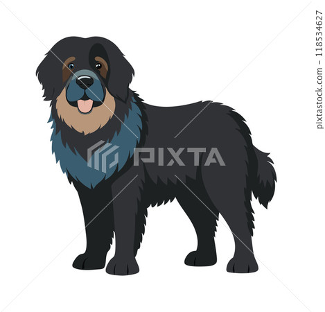 A black dog with a blue and brown mane stands in front of a white background A black dog with a blue and brown mane stands in front of a white background 118534627
