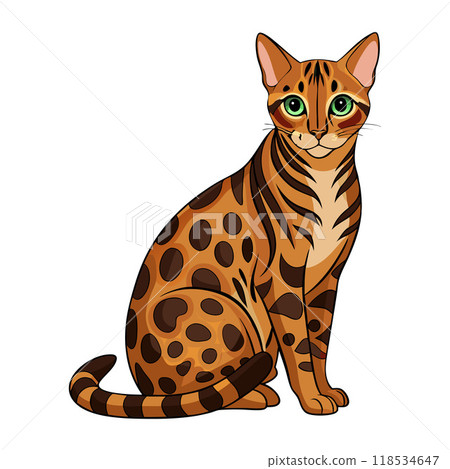 A cat with green eyes sits on a white background 118534647