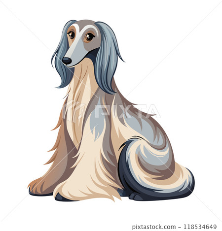 A dog with long hair is sitting on a white background 118534649