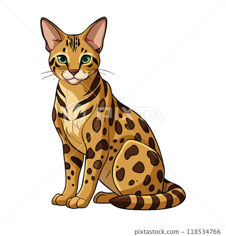 A cat with green eyes sits on a white background 118534766
