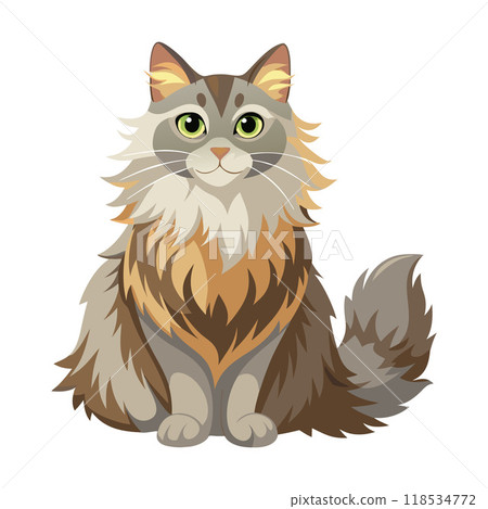 A cat with long fur is sitting on a white background A cat with long fur is sitting on a white background 118534772
