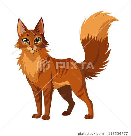 A cat with a long tail and a striped coat stands in front of a white background A cat with a long tail and a striped coat stands in front of a white background 118534777
