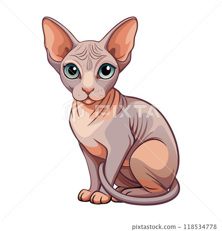 A cat with a pink face and a white body sits on a white background A cat with a pink face and a white body sits on a white background 118534778