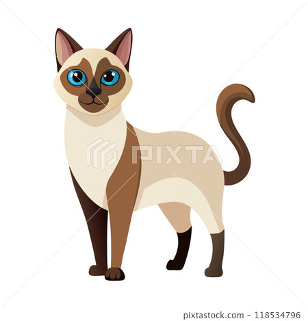 A cat with blue eyes stands on a white background 118534796