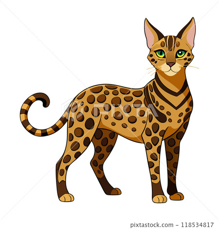 A cat with green eyes stands on a white background A cat with green eyes stands on a white background 118534817