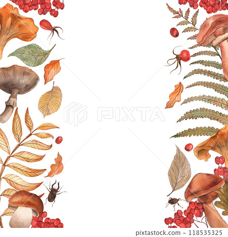 Vertical frame with autumn forest mushrooms, leaves, berries. Chanterelles, porcini mushrooms, fly agarics, rowan berries, fern leaves, oak are hand-drawn with watercolors in a botanical style. 118535325