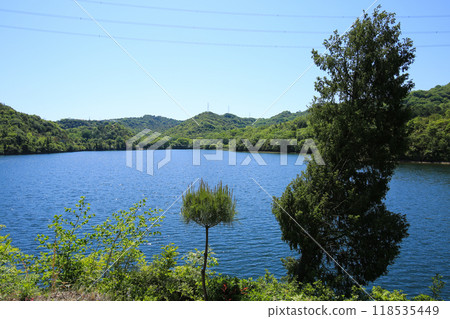 岡山縣玉野市天之池 118535449