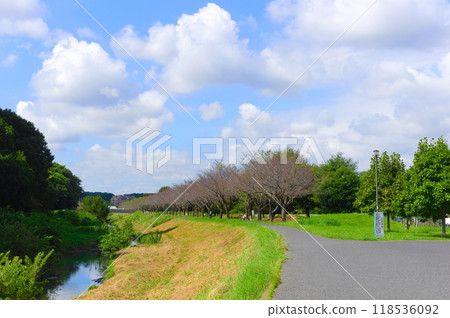 Road along the Ohori River in Kashiwa City, Chiba Prefecture September 2024 118536092