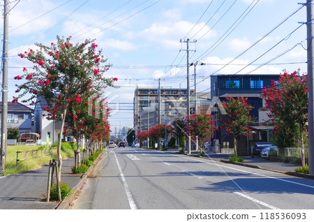 Around Toyoshiki Station, Kashiwa City, Chiba Prefecture September 2024 118536093