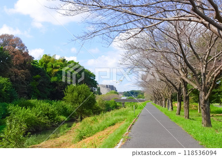 Road along the Ohori River in Kashiwa City, Chiba Prefecture September 2024 118536094