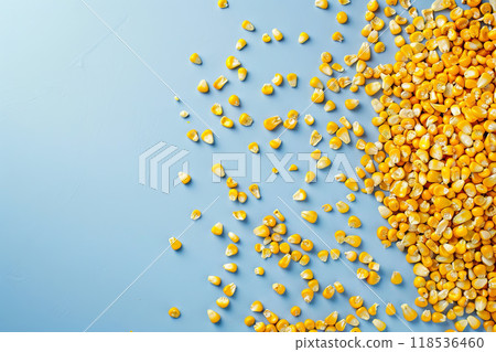 Raw dry corn seeds on blue background 118536460