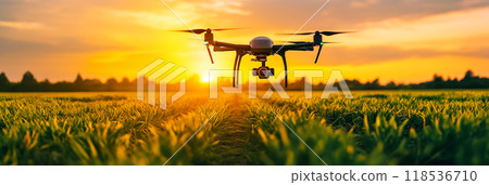 Drone flying over a field. Modern agriculture 118536710