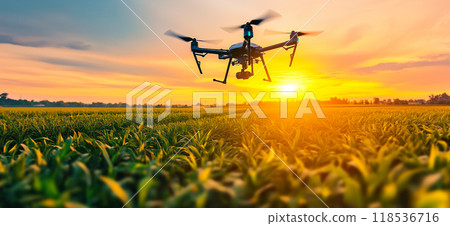 Drone flying over a field. Modern agriculture 118536716