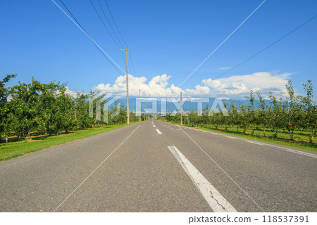 A road running through apple orchards [Azumino City] 118537391
