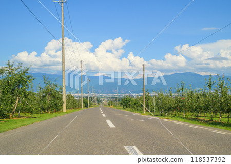 A road running through apple orchards [Azumino City] 118537392
