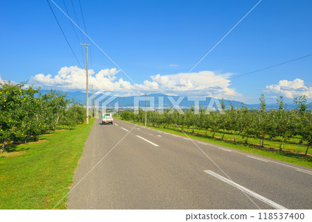 A road running through apple orchards [Azumino City] 118537400