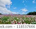 At the Koshiro Hill 118537666