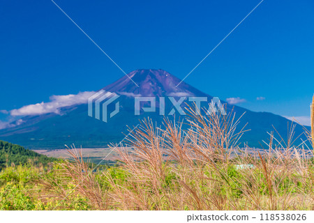 【山梨郡】初秋的富士山透過忍野的蒲葦 【山梨郡】初秋的富士山透過忍野的蒲葦 118538026