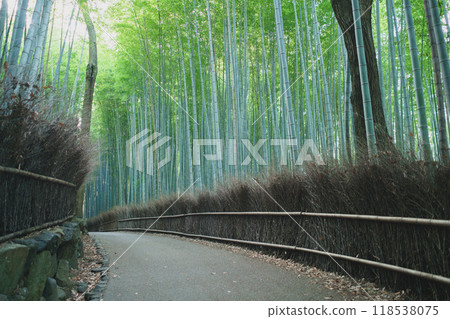 京都嵐山竹林小直徑 118538075