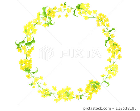 油菜花手寫水彩花環 油菜花手寫水彩花環 118538193