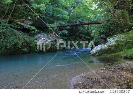 小田山溪谷的獨木橋風景(愛媛郡內子町) 小田山溪谷的獨木橋風景(愛媛郡內子町) 118538207