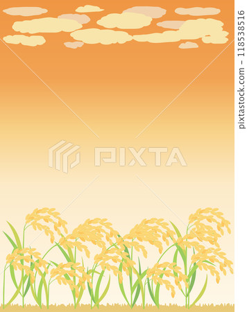 日落與稻穗的秋天插畫豎版 日落與稻穗的秋天插畫豎版 118538516