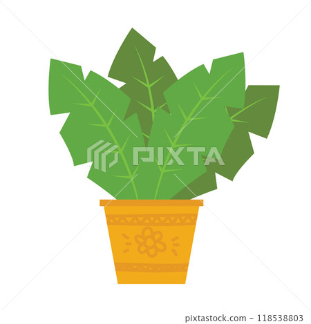 Flat green plant potted leaves illustration 118538803