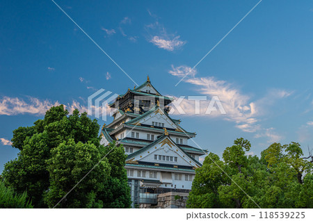 Osaka Castle castle tower evening view 118539225